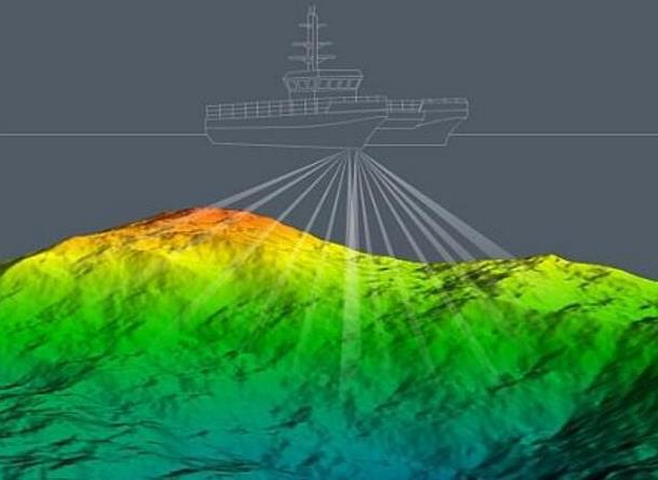 Survey data visualization